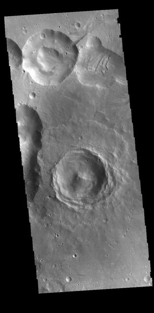 This VIS image shows several craters. The interior of the central one has retained much of the original topography, including the central peak. The floor has not been smoothed by deposits of dust or other layering materials. These craters are located on the northern margin of Arabia Terra. Orbit Number: 71217 Latitude: 30.69 Longitude: 345.854 Instrument: VIS Captured: 2018-01-03 03:47 https://photojournal.jpl.nasa.gov/catalog/PIA22370