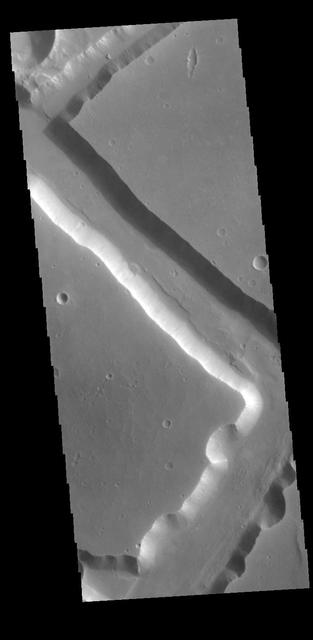 Located on the western margin of Lunae Planum, Sacra Fossae is a group of linear depressions. The right angle turns and uniform width seen in this VIS image indicate that these channels were formed by faulting rather than liquid flow. Two bounding faults with a down-dropped interior are called graben. Orbit Number: 71244 Latitude: 17.7623 Longitude: 288.309 Instrument: VIS Captured: 2018-01-05 09:06 https://photojournal.jpl.nasa.gov/catalog/PIA22373