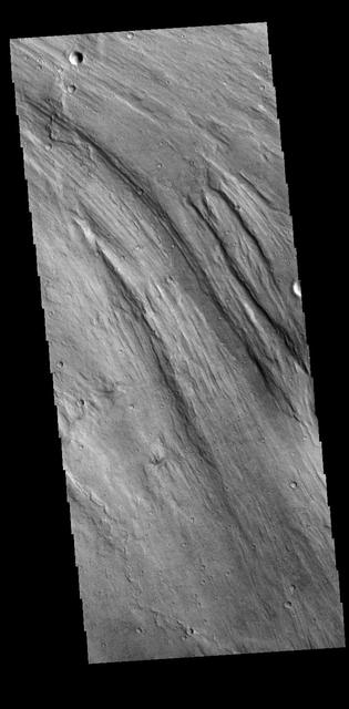 Today's VIS image shows a small portion of Lobo Vallis near where it recombines with Kasei Valles and empties into Chryse Planitia. Kasei Valles is a huge channel system that drained the higher elevations of Tharsis into the low of Chryse Planitia. Orbit Number: 71206 Latitude: 28.9604 Longitude: 303.568 Instrument: VIS Captured: 2018-01-02 06:02 https://photojournal.jpl.nasa.gov/catalog/PIA22374