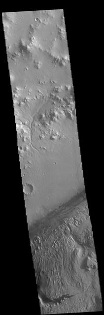 This VIS image of Gale Crater shows part of the huge layered deposit that covers much of the crater floor. The top of the image shows part of the crater rim, including one of the many small channels that drain to the crater floor. A series of dark dunes surround the inner layered deposit, appearing darker than the other materials in this image. Gale Crater is the home of the Curiosity Rover. Orbit Number: 71374 Latitude: -4.41326 Longitude: 137.314 Instrument: VIS Captured: 2018-01-16 02:01 https://photojournal.jpl.nasa.gov/catalog/PIA22389