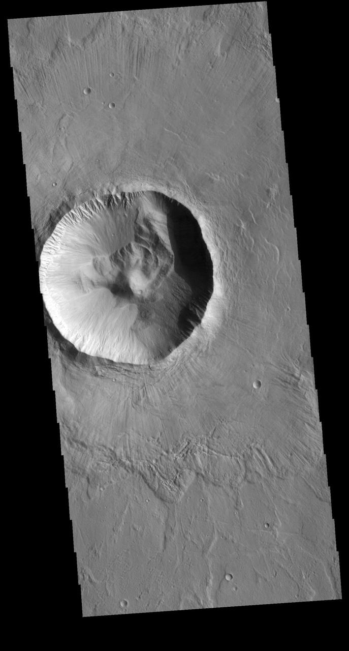 This VIS image shows an unnamed crater located in Utopia Planitia. This relatively young crater has a steep inner rim, with floor deposits that originate from the crater rim itself. As craters age, the floor starts to fill with wind blown materials. Regional lava flows can also enter and fill the crater, raising and smoothing the floor. The lack of such modifications indicates the relatively youthful nature of this crater. Orbit Number: 71425 Latitude: 33.9121 Longitude: 101.49 Instrument: VIS Captured: 2018-01-20 07:04 https://photojournal.jpl.nasa.gov/catalog/PIA22394