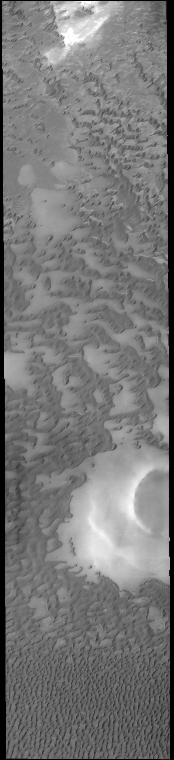 This VIS image shows part of Olympia Undae, a large dune field that surrounds part of the north polar cap. At the top of the image the dunes are small and isolated. As the amount of available sand increases the density of dunes increases. This is seen at the bottom of the image. Collected during northern summer, the dunes are completely free of ice and frost.  Orbit Number: 71822 Latitude: 79.9343 Longitude: 143.91 Instrument: VIS Captured: 2018-02-22 00:15  https://photojournal.jpl.nasa.gov/catalog/PIA22400