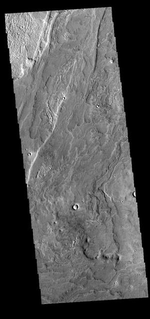 NASA image: Daedalia Planum