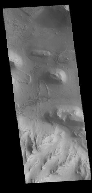 This VIS image shows part of the wall and floor of Coprates Chasma. Several landslide deposits are visible as well as small regions of sand dunes. Orbit Number: 71992 Latitude: -14.4199 Longitude: 302.56 Instrument: VIS Captured: 2018-03-07 23:50 https://photojournal.jpl.nasa.gov/catalog/PIA22410