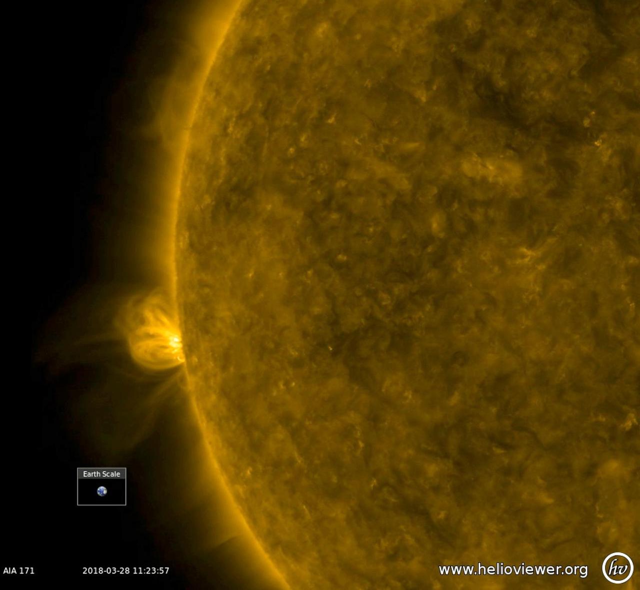 With no active regions currently on the face of the sun, a bristling active region has begun to rotate into view (Mar. 27-28, 2018). In this extreme ultraviolet view, the active region has numerous arches of bright, magnetic field lines blossoming out and towering above it. Whether this region will produce solar storms remains to be seen, but at least there is some new activity to observe. The video was produced with Helioviewer software.   Animations are available at https://photojournal.jpl.nasa.gov/catalog/PIA22411