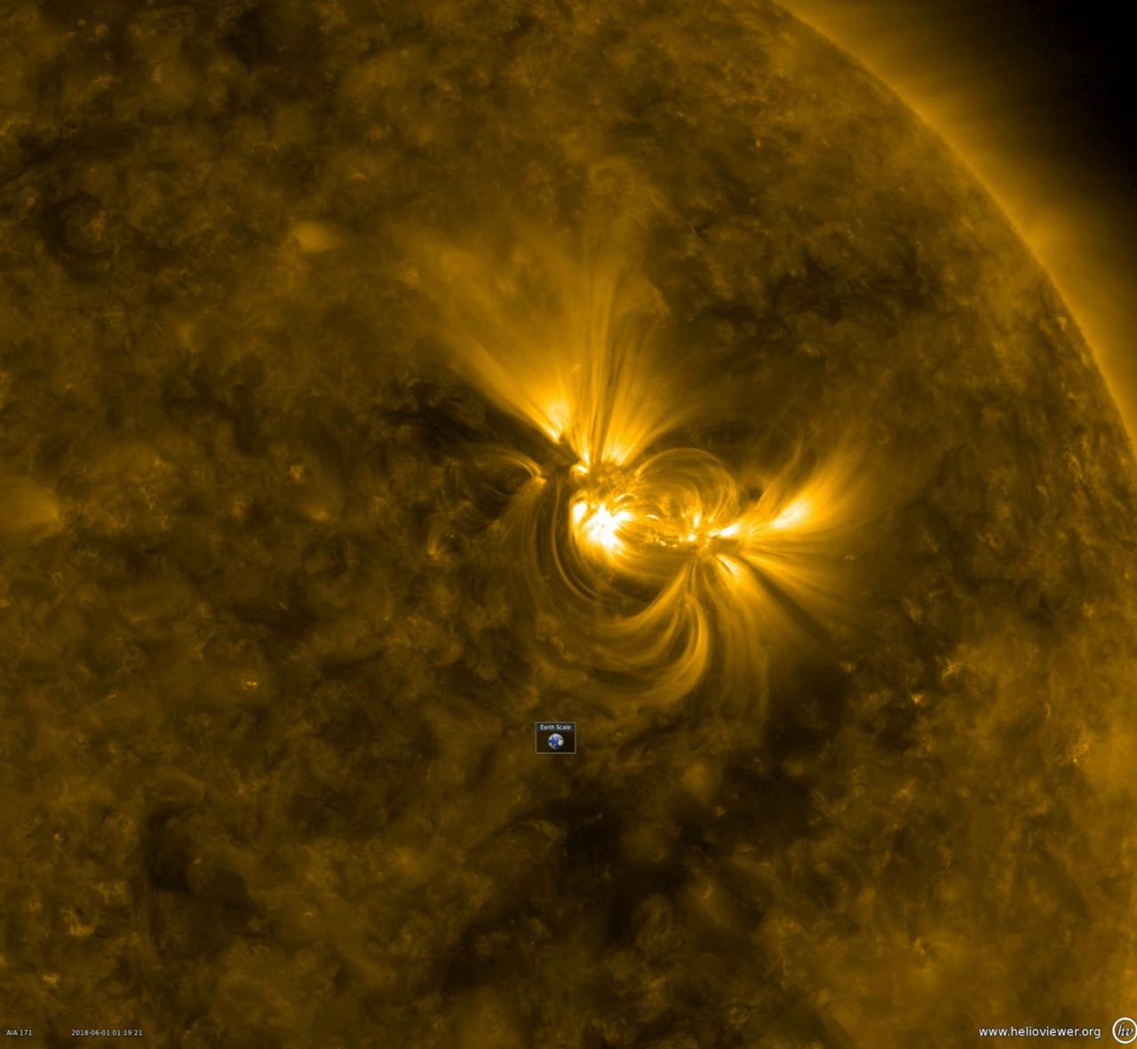 This close-up from a video clip taken May 30-June 1, 2018 shows a large active region in extreme ultraviolet light as the bright magnetic field lines above it shift and twist. Note the Earth scale below the active region: the longest loops extend about 10 times the diameter of Earth. When the magnetic field lines get themselves tangled up enough, they can erupt with a solar storm.  Videos are available at https://photojournal.jpl.nasa.gov/catalog/PIA22475