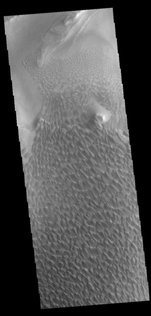 NASA image: Rabe Crater Dunes