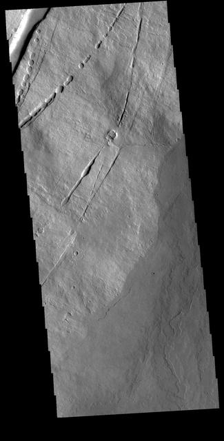 NASA image: Pavonis Mons