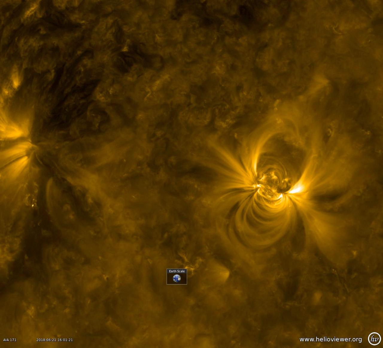 A new active region appeared on June 19th, quickly growing in size over two days (June 20-22, 2018). Active regions are areas of enhanced magnetic activity on the Sun's surface, generating the huge loops and dynamic surges observed here. Charged particles spinning along the field lines above the active region are illuminated in this wavelength of extreme ultraviolet light. The superimposed Earth icon gives a sense of just how large these loops are. Movies are available at https://photojournal.jpl.nasa.gov/catalog/PIA22582