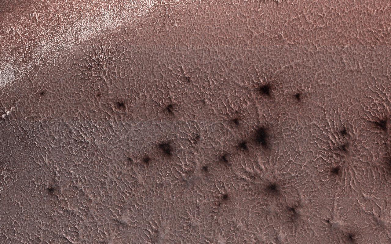 This image from NASA's Mars Reconnaissance Orbiter, acquired May 13, 2018 during winter at the South Pole of Mars, shows a carbon dioxide ice cap covering the region and as the sun returns in the spring, "spiders" begin to emerge from the landscape.  But these aren't actual spiders. Called "araneiform terrain," describes the spider-like radiating mounds that form when carbon dioxide ice below the surface heats up and releases. This is an active seasonal process not seen on Earth. Like dry ice on Earth, the carbon dioxide ice on Mars sublimates as it warms (changes from solid to gas) and the gas becomes trapped below the surface.  Over time the trapped carbon dioxide gas builds in pressure and is eventually strong enough to break through the ice as a jet that erupts dust. The gas is released into the atmosphere and darker dust may be deposited around the vent or transported by winds to produce streaks. The loss of the sublimated carbon dioxide leaves behind these spider-like features etched into the surface.  More information is available at https://photojournal.jpl.nasa.gov/catalog/PIA22587