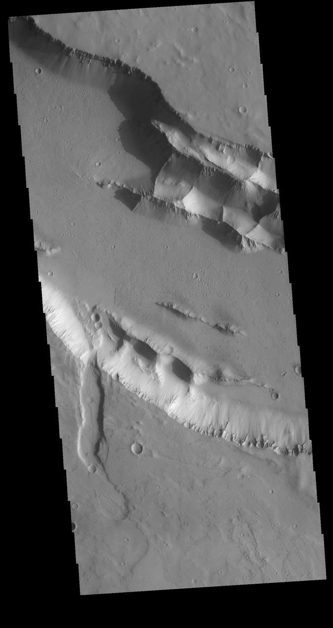 Today's VIS image shows part of one of the Elysium Fossae on the western flank of the Elysium volcanic complex. The fossae have both a tectonic and volcanic origin. The linear fractures, representing tectonic activity, are aligned southeast to northwest (the top of the image is north). The sinuous nature of the channel is due the flow of a liquid, most likely lava in this case. Orbit Number: 72434 Latitude: 28.0172 Longitude: 139.454 Instrument: VIS Captured: 2018-04-13 09:56 https://photojournal.jpl.nasa.gov/catalog/PIA22603