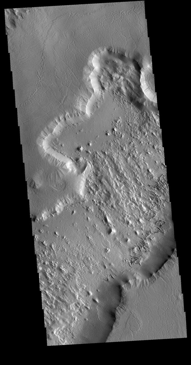 This VIS image is located at the northern end of Gordii Dorsum, where the surface slopes down into southern Amazonis Planitia. Within this image are several different surfaces and textures. At the top left of the image (ignoring the very tip) moving down towards the larger depression there are three different surfaces. There are two small, discontinuous ridges that parallel the depression that divide the three surfaces from each other. At the top the surface is uniformly wave like, in the middle, there is a region of shallow depressions, and in the third region the shallow lineations are more complex and a higher density of features. The lineations are largely parallel and radial to the large depression. The cliff face between the top of the image and the lower right consists of two levels. The upper cliff slopes gently to the edge of the lower cliff face, where the change in elevation is dramatic. Dark slope streaks are visible on the lower cliff face, and on both cliffs on the far right side. The floor of the large depression has a rough surface, with a general linear trend from the bottom right of the image to the uppper left corner. Along the bottom edge of the depression are a series of small intersecting ridges. These features typically represent fracture fill that is more resistant then the surrounding material, which are left as ridges when the surrounding materials are eroded away. At the base of the cliffs at the bottom of the image is a region of uniform texture, probably from erosion of the cliff forming material.  Orbit Number: 72469 Latitude: 10.8321 Longitude: 211.702 Instrument: VIS Captured: 2018-04-16 07:02  https://photojournal.jpl.nasa.gov/catalog/PIA22609