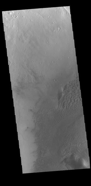 Moreux Crater Dunes