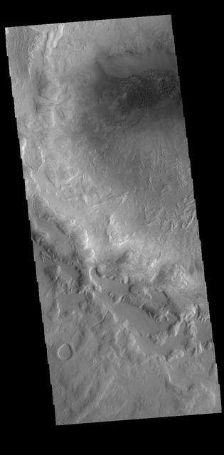 This VIS image is located in the region between northern Terra Sabaea and Utopia Planitia. This unnamed crater contains a small dune field. The crater rim is heavily eroded and it appears that some downslope movement on the interior of the rim may have included a volatile component such as ice. Orbit Number: 72636 Latitude: 42.2873 Longitude: 66.9553 Instrument: VIS Captured: 2018-04-30 01:22 https://photojournal.jpl.nasa.gov/catalog/PIA22618