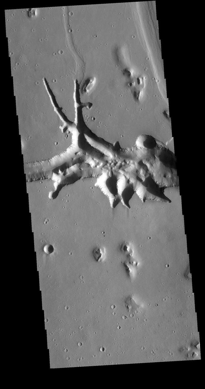 This VIS image is located at the eastern end of Hephaestus Fossae. Hephaestus Fossae is a channel system in Utopia Planitia near Elysium Mons. It has been proposed that the channel formed by the release of melted subsurface ice during the impact event that created a large crater west of this image. The method of formation for this complex feature at end of the channel is still unknown. Orbit Number: 72659 Latitude: 17.3167 Longitude: 126.988 Instrument: VIS Captured: 2018-05-01 22:42 https://photojournal.jpl.nasa.gov/catalog/PIA22621