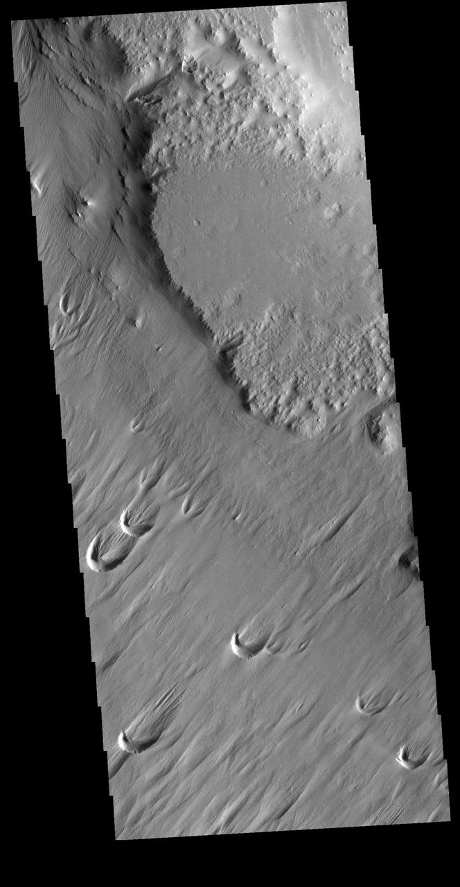 Eumenides Dorsum is a large linear rise located in southern Amazonis Planitia. Erosion by wind action is prevalent in this region. The horseshoe shaped depressions, called blowouts, indicate the major wind direction in this region is from lower left to upper right.  Orbit Number: 72856 Latitude: 1.32798 Longitude: 203.353 Instrument: VIS Captured: 2018-05-18 04:06  https://photojournal.jpl.nasa.gov/catalog/PIA22658