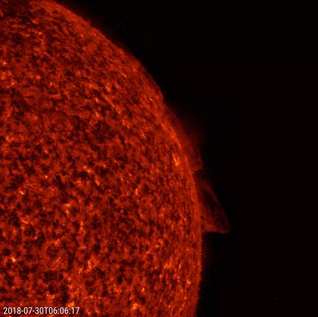 NASA image: Twisting Prominences