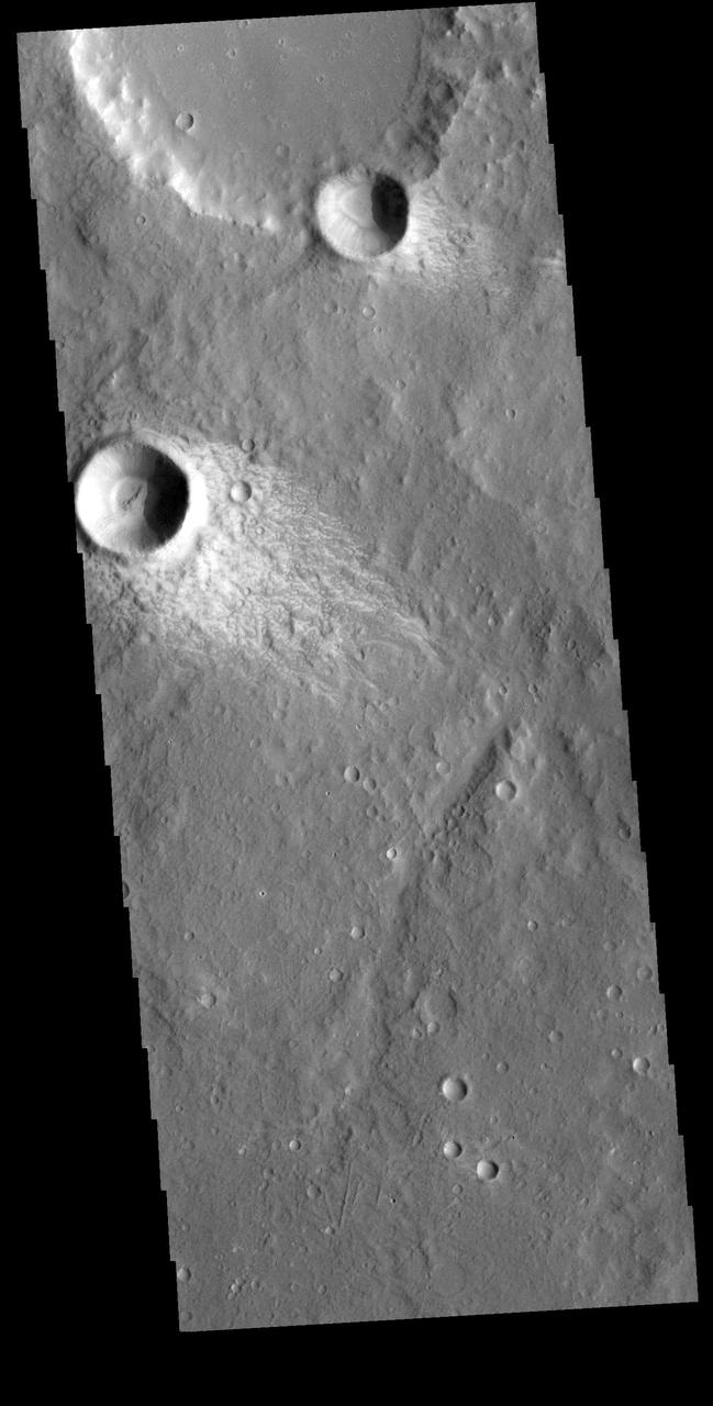 This VIS image shows a small region in Terra Sirenum. The bright material forming "tails" behind the craters were created by surface winds funneled over and around the crater. The raised rims and bowls of impact craters causes a complex interaction such that the wind vortex in the lee of the crater can both scour away the surface dust and deposit it back in the center of the lee. The "tail" shows the direction of the wind, in this case blowing from the upper right to the lower left. Orbit Number: 73131 Latitude: -15.549 Longitude: 188.595 Instrument: VIS Captured: 2018-06-09 19:41 https://photojournal.jpl.nasa.gov/catalog/PIA22668