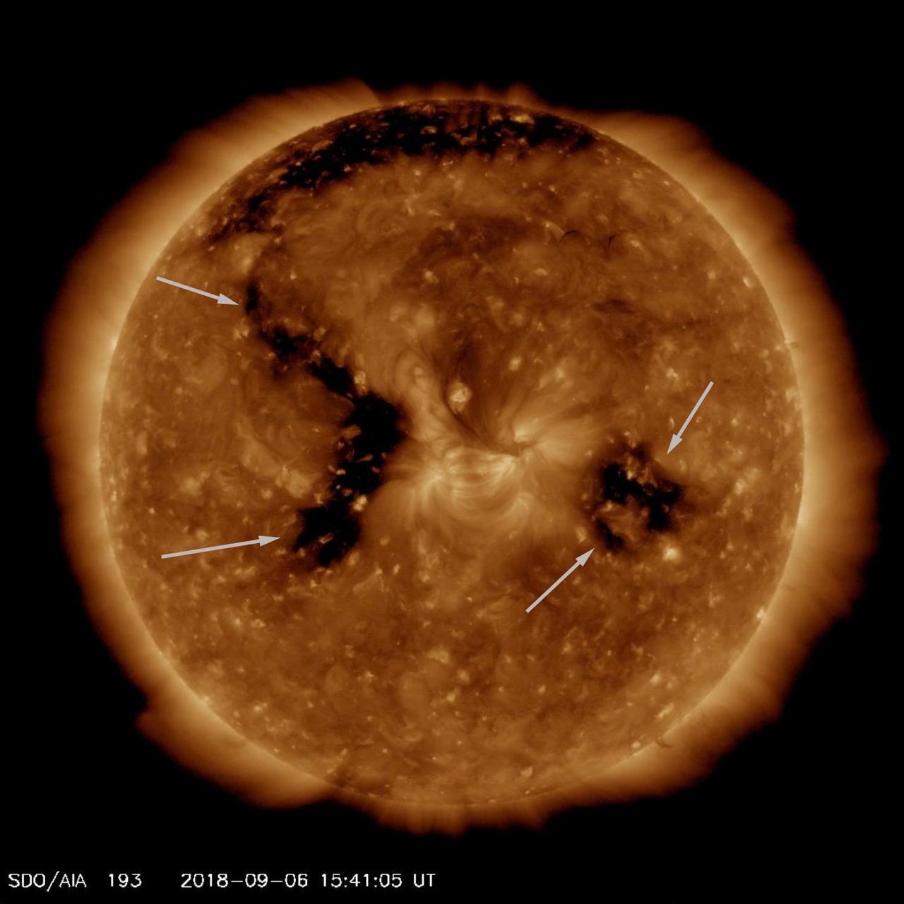 The Sun already featured one good-sized coronal hole, when another larger coronal hole began to emerge and intensify (Sept. 4-6, 2018). Coronal holes appear dark in extreme ultraviolet light, as is shown here. They are magnetically open areas from which solar wind streams out into space, and can last from days to months. The brighter area between the two coronal holes is an active region where the level of magnetic activity is strong.  Movies are available at https://photojournal.jpl.nasa.gov/catalog/PIA22722