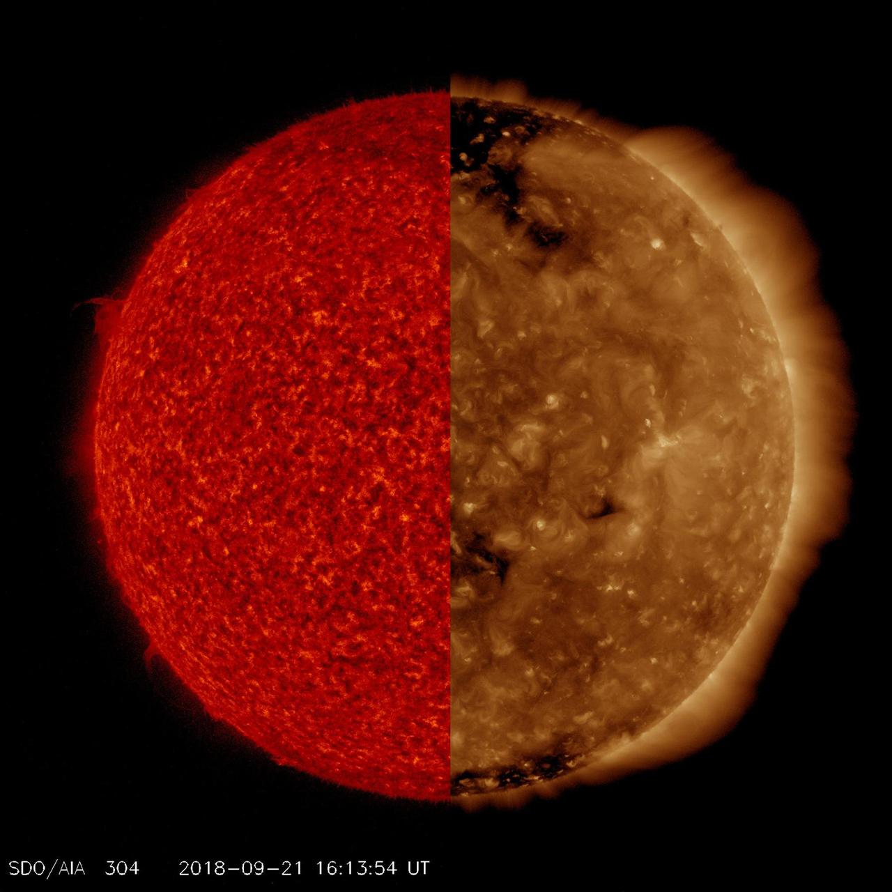 NASA's Solar Dynamics Observatory observes the Sun in ten different wavelengths because each wavelength reveals different solar features. Here, we have selected two images taken at virtually the same time but in different wavelengths of extreme ultraviolet light. The red tinted image, which captures material not far above the Sun's surface, is especially good for revealing details along the edge of the Sun, like the small prominence at the ten o'clock position. The brown tinted image clearly shows two large coronal holes (darker areas) as well as some faint magnetic field lines and hints of solar activity (lighter areas), neither of which are apparent in the red image. This activity is occurring somewhat higher in the Sun's corona. In a way it is like peeling away the layers of an onion, a little at a time. Animations are available at https://photojournal.jpl.nasa.gov/catalog/PIA22724
