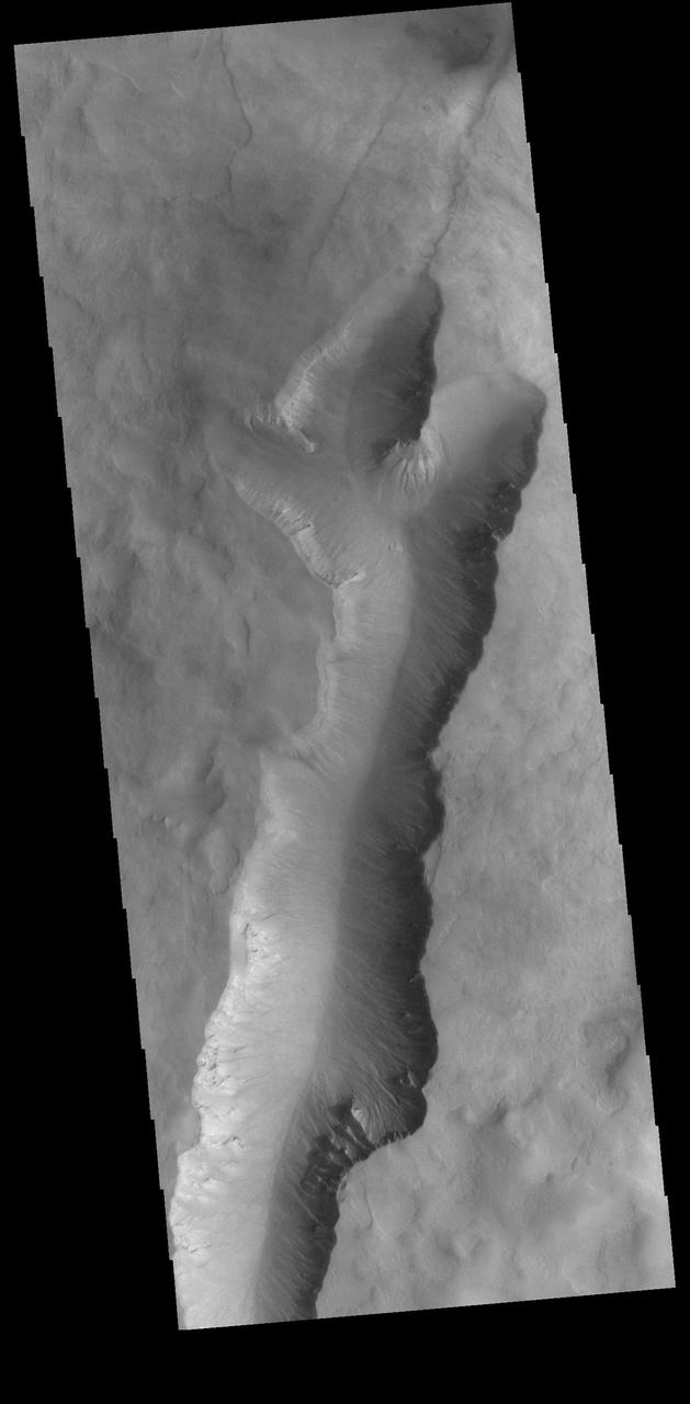 This VIS image shows a large linear depression in the center of an unnamed crater in Noachis Terra. This crater and the nearby Maunder and Asimov craters share this odd morphology. The crater floors have been filled to the rim and then depressions have occurred in that fill material. In the case of Maunder and Asimov, the depressions occur along the inner rim of each crater. In this crater, the depression is located in the middle of the crater fill.  Orbit Number: 74360 Latitude: -50.0031 Longitude: 3.76045 Instrument: VIS Captured: 2018-09-19 01:11  https://photojournal.jpl.nasa.gov/catalog/PIA22801