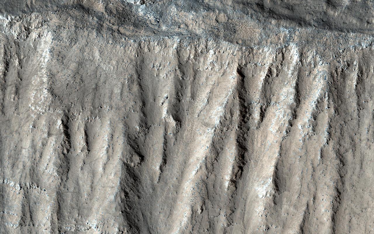 This image shows part of the steep wall of the caldera (a large volcanic crater) at the top of Ascraeus Mons, one of Mars' giant volcanoes. We can see chutes carved into the soft dust that has built up on the slope, with some similarities to gully landforms elsewhere on the planet. https://photojournal.jpl.nasa.gov/catalog/PIA22804