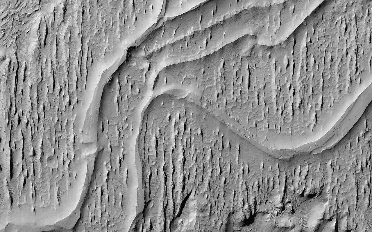 This image of ridges in Aeolis Planum tells a story of ancient rivers and a Mars very different to that of today.  River beds often get filled with gravel and the surrounding terrain is often built up of fine-grained mud from river overflows. The gravely river bottom and the fine-grained surroundings can lead to a strange phenomenon that geologists call inverted channels. After the river disappears, the fine-grained surroundings can be easily eroded away leaving the gravely river bed as a high-standing ridge.  These ridges show the location of the old river beds in Mars' distant past. The angle at which the ridges join together indicate that these rivers flowed from top-right to bottom-left (i.e. southwest).  https://photojournal.jpl.nasa.gov/catalog/PIA22822