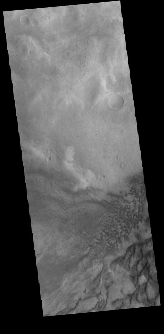 This VIS image shows part of the floor of Russell Crater, including sand dunes of mulitple sizes. Russell Crater is located in Noachis Terra. Orbit Number: 74472 Latitude: -54.048 Longitude: 12.3835 Instrument: VIS Captured: 2018-09-28 06:34 https://photojournal.jpl.nasa.gov/catalog/PIA22848