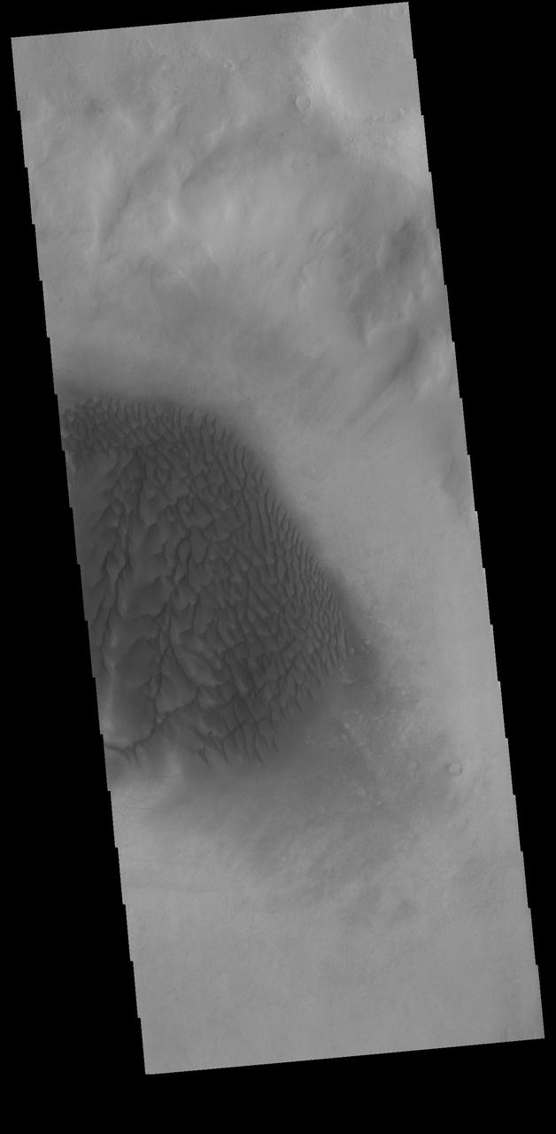 Today's VIS image shows a sand sheet with surface dunes forms on the floor of an unnamed crater in Noachis Terra. Orbit Number: 74596 Latitude: -52.0302 Longitude: 33.4965 Instrument: VIS Captured: 2018-10-08 11:42 https://photojournal.jpl.nasa.gov/catalog/PIA22858