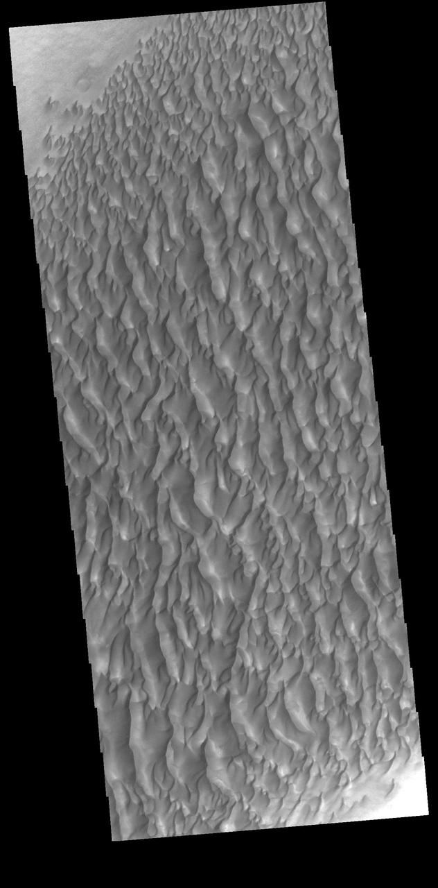 This VIS image shows part of the extensive dune field on the floor of Proctor Crater. Proctor Crater is located in Noachis Terra. Orbit Number: 74883 Latitude: -47.6285 Longitude: 30.2768 Instrument: VIS Captured: 2018-11-01 03:03 https://photojournal.jpl.nasa.gov/catalog/PIA22891