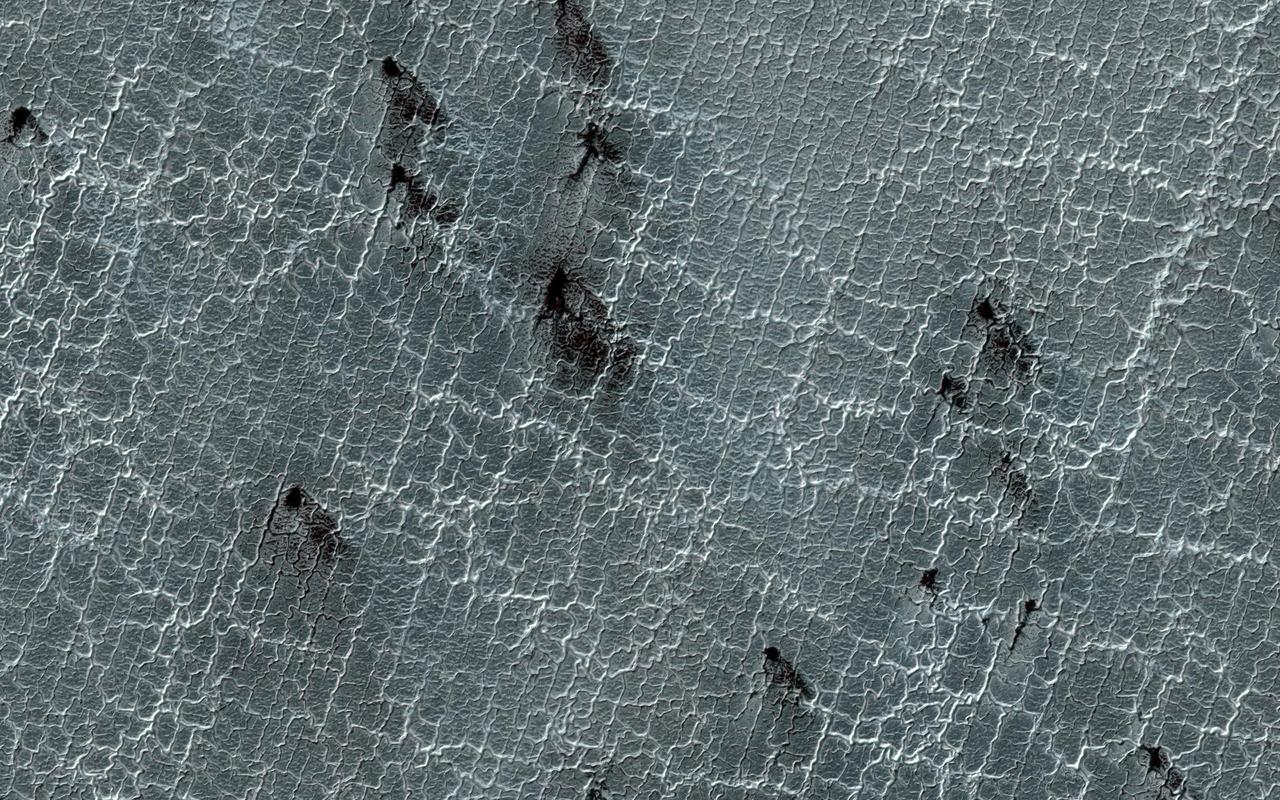 Araneiform terrain (colloquially: spider-like terrain) is located in the south polar region of Mars and evolves in appearance over the spring and summer. In the season shown here, the thin bright lines on the surface (the spider legs) are troughs and many of these features have dark fan-shaped markings emanating from them.  Our current theory for how these patterns are formed is that during winter a carbon dioxide ice layer develops over the surface. When sun rays strike this surface, this carbon dioxide ice acts in a similar way to our atmosphere: it allows the sun light to penetrate but traps the infrared radiation creating a greenhouse-like effect.  The trapped heat transforms the ice at the bottom of the layer to gas, building up pressure until it bursts through. When that happens, the gas flows out in geyser-like fashion and carries dust with it, which falls back to the surface to form the dark fans.  https://photojournal.jpl.nasa.gov/catalog/PIA22896