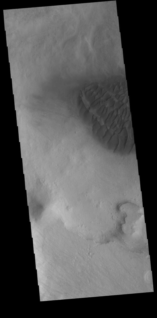This VIS image shows part of the dune field on the floor of Halley Crater. Rather than small individual sand dunes, the sand here is collected into a sand sheet and dune forms have been created on that surface. Halley Crater is located on the western margin of Argyre Planitia. Orbit Number: 74936 Latitude: -48.1494 Longitude: 300.871 Instrument: VIS Captured: 2018-11-05 11:49 https://photojournal.jpl.nasa.gov/catalog/PIA22971
