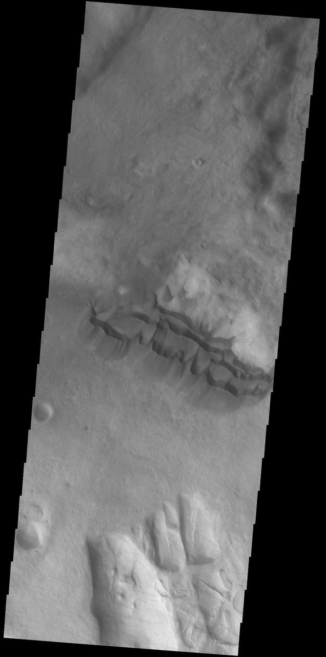 Located in the center of this VIS image is a group of sand dunes. With enough wind and sand, sand dunes are formed. Dune morphology typically has a shallow slope on the side the wind is blowing from and a steep face on the other side. The darker part of the dunes in this image are the steep slopes. Wind blows sand particles up the shallow slope and then the particles 'fall' off the crest of the dune down the steep side. With time, the constant wind will move the crest of the dune forward. Depending on the amount of available sand, dunes can grow to large heights and sizes. In the case of this image, the dunes are moving toward the top of the image, which means up the surface slope. In cases like this, the dunes 'climb' up hills. Orbit Number: 74955 Latitude: -50.2322 Longitude: 292.058 Instrument: VIS Captured: 2018-11-07 00:56 https://photojournal.jpl.nasa.gov/catalog/PIA22975