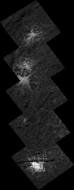 NASA image: Stars on Occator's Floor