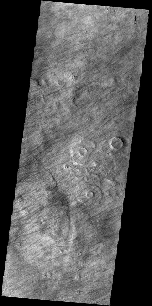 This VIS image shows a region dense with dust devil tracks. Located in Promethei Terra, these tracks run parallel to the nearby southeastern margin of Hellas Planitia. The number of tracks and amount of overlapping indicates that there are long term winds in this region.  Orbit Number: 74962 Latitude: -54.2492 Longitude: 89.1339 Instrument: VIS Captured: 2018-11-07 14:48  https://photojournal.jpl.nasa.gov/catalog/PIA22987