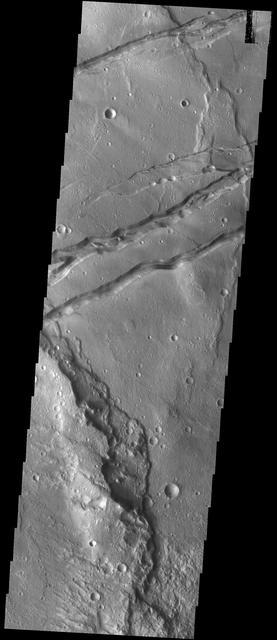 NASA image: Sirenum Fossae