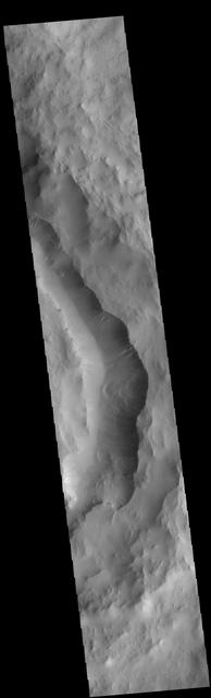 Today's VIS image shows part of the eastern side of Maunder Crater. This crater has a unique form, with a large amount of fill on the eastern half of the crater floor, and a valley between the crater rim and the crater fill. It is possible that a large landslide may have occurred in this region of the crater. In this image, multiple gullies are located on the west-facing side of the valley. Maunder Crater is located in Noachis Terra.  Orbit Number: 74622 Latitude: -49.4561 Longitude: 2.582 Instrument: VIS Captured: 2018-10-10 15:07  https://photojournal.jpl.nasa.gov/catalog/PIA22991