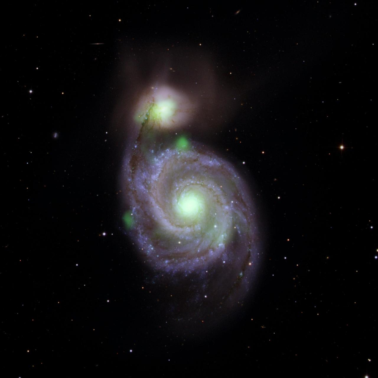 Bright green sources of high-energy X-ray light captured by NASA's NuSTAR mission are overlaid on an optical-light image of the Whirlpool galaxy (the spiral in the center of the image) and its companion galaxy, M51b (the bright greenish-white spot above the Whirlpool), taken by the Sloan Digital Sky Survey. The bright green spots at the center of the Whirlpool and M51b are created by material surrounding supermassive black holes; additional X-ray sources in the vicinity contribute to the emission. The known ultraluminous neutron star is located on the left side of the Whirlpool.  https://photojournal.jpl.nasa.gov/catalog/PIA23005