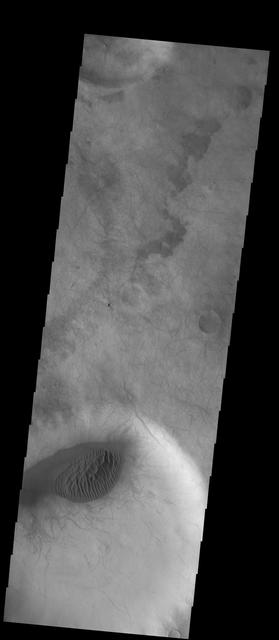 NASA image: Dunes and Dust Devils