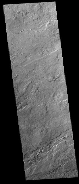 Today's VIS image shows a small portion of the extensive volcanic plains of Daedalia Planum. These lava flows originated from Arsia Mons, the southernmost of the three large Tharsis volcanoes. Orbit Number: 75250 Latitude: -13.305 Longitude: 234.502 Instrument: VIS Captured: 2018-12-01 08:41 https://photojournal.jpl.nasa.gov/catalog/PIA23026