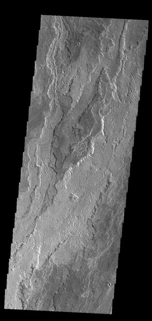 Today's VIS image shows part of the extensive volcanic flows that make up Daedalia Planum. The different layers and surface textures are due to flows at different times, or the affect of cooling as the flow narrows and extends far from the lava source. Daedalia Planum volcanic flows originate at or near Arsia Mons. Orbit Number: 75431 Latitude: -18.9209 Longitude: 241.546 Instrument: VIS Captured: 2018-12-16 05:39 https://photojournal.jpl.nasa.gov/catalog/PIA23032