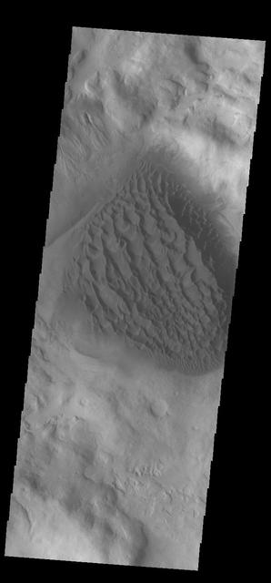 Today's VIS image shows the sand deposit on the floor of Matara Crater. The deposit is thick enough to hide the underlying crater floor creating a sheet of sand. Upon this sheet of sand the wind has created dune forms. Matara Crater is located in Noachis Terra. Orbit Number: 75438 Latitude: -49.5195 Longitude: 34.6327 Instrument: VIS Captured: 2018-12-16 19:39 https://photojournal.jpl.nasa.gov/catalog/PIA23034