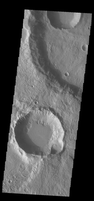 This VIS image contains three craters. There is a quarter of the largest crater in the top half of the image, half of a smaller crater at the very top, and the full crater in the lower half of the image. Investigating the relative ages of each crater indicates the largest crater formed first followed at some point by the smaller craters -- the 1/2 crater at the top occurs on top of the big crater as does the ejecta from the bottom crater. Because the visible ejecta does not reach the smaller crater at the top it is difficult to determine the relative ages of the two smaller craters. Both have similar floor morphology, but different rim morphology. The crater in the bottom of the image has a very complex rim, including both rim gullies (top side) and ridge and spur eroded features (bottom side). These difference may be related to the different materials of the largest crater. One crater impacted into the floor and the other into the ejecta blanket of the largest crater. Near surface morphology as well as deeper materials can modify the pressure wave created by impact. These craters are located in Terra Cimmeria. Orbit Number: 75334 Latitude: -38.7393 Longitude: 157.653 Instrument: VIS Captured: 2018-12-08 06:01 https://photojournal.jpl.nasa.gov/catalog/PIA23074