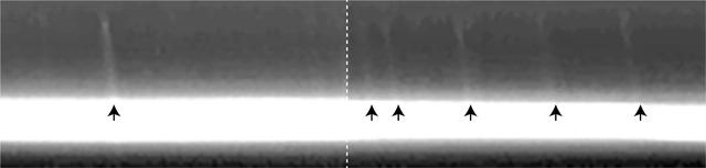 NASA image: Mini-jets in the F Ring