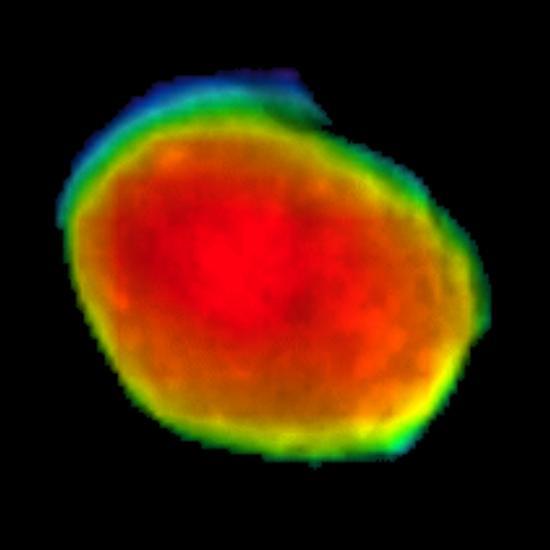 Taken on April 24, 2019, this rainbow-colored image shows the Martian moon Phobos, as viewed by NASA's 2001 Mars Odyssey orbiter using its infrared camera, Thermal Emission Imaging System (THEMIS). Each color represents a different temperature range, with the warmest in the center and coolest on the outer edge.  This was the first time THEMIS was used to observe Phobos while in a full moon phase, which offers scientists a much better view for studying the composition of the Martian moon. Previous half-moon views, which can be seen here, were better for studying surface textures.  https://photojournal.jpl.nasa.gov/catalog/PIA23204