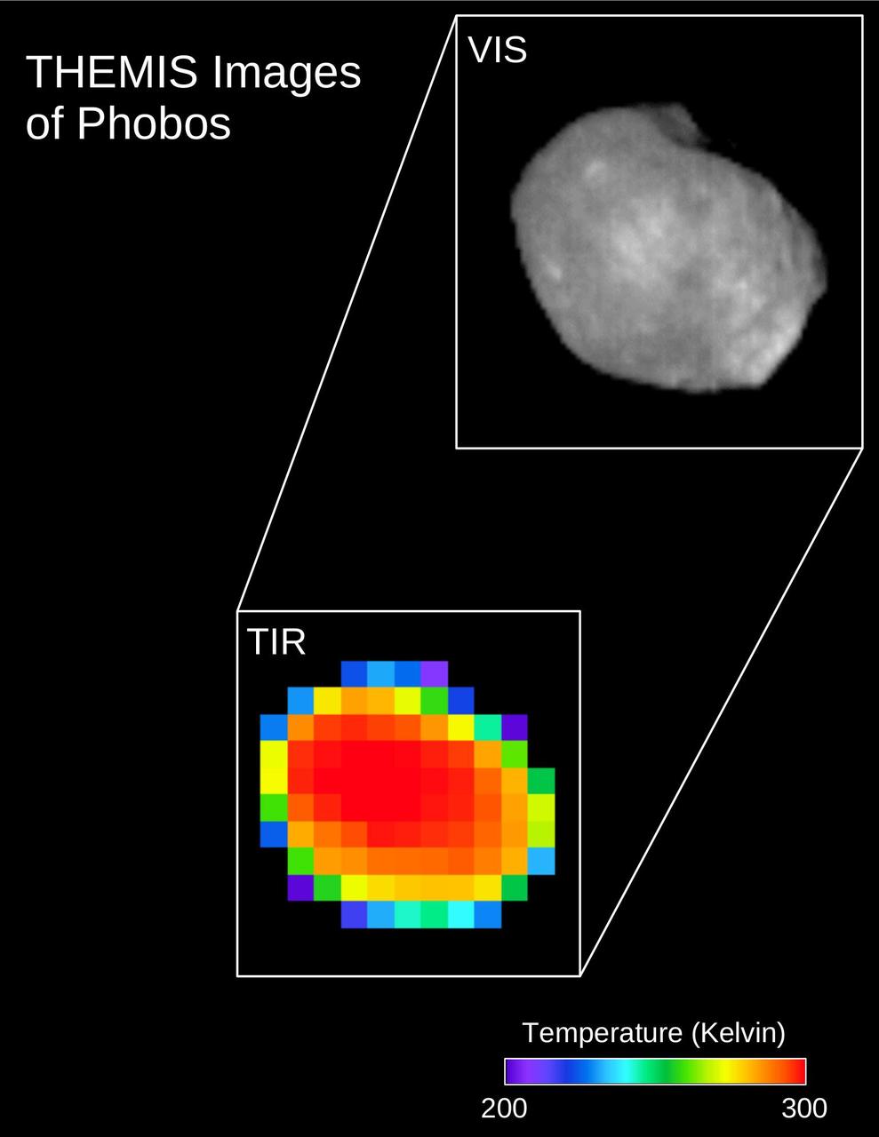 These are two views of the same observation of the Martian moon Phobos taken in both infrared and visible light by NASA's 2001 Mars Odyssey orbiter using its infrared camera, Thermal Emission Imaging System (THEMIS). The image was taken on April 24, 2019.  The top view is what Phobos looked like in the visible light spectrum, as viewed by THEMIS. The bottom view is what it looks like in infrared, which reveals temperature differences. The warmest temperatures are in the center, and the coolest are on the outer edge. A scale bar is provided to reflect the temperatures, which range from 200 to 300 degrees Kelvin, or -100 degrees Fahrenheit (-73 Celsius) to 80 degrees Fahrenheit (27 Celsius).  https://photojournal.jpl.nasa.gov/catalog/PIA23206