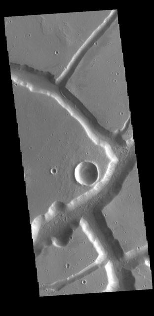 The linear depressions in this VIS image were created by tectonic forces. The sides of the depression are faults. Paired faults will allow the block of material between them to "slide down" during marsquake events, forming the depressions. Orbit Number: 77132 Latitude: 30.5611 Longitude: 285.586 Instrument: VIS Captured: 2019-05-05 08:37 https://photojournal.jpl.nasa.gov/catalog/PIA23260