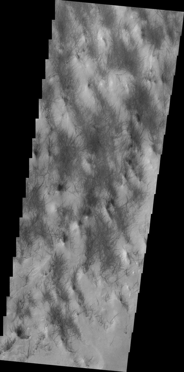 Wind is one of the most active processes on Mars today. This image was taken near Hooke Crater on the margin of Argyre Planitia. Wind is moving along the surface between the hills and valleys of the crater ejecta, picking up the surface dust and leaving the dust free darker rock exposed. Orbit Number: 42358 Latitude: -47.7019 Longitude: 317.797 Instrument: VIS Captured: 2011-07-03 00:45 https://photojournal.jpl.nasa.gov/catalog/PIA23291
