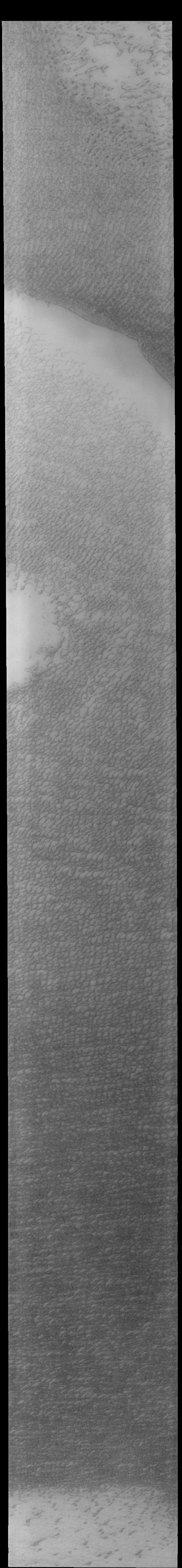 Today's VIS image shows a small portion of Olympia Undae. This large dune field surrounds part of the north polar cap.  Orbit Number: 77198 Latitude: 81.3618 Longitude: 159.11 Instrument: VIS Captured: 2019-05-10 19:20  https://photojournal.jpl.nasa.gov/catalog/PIA23296