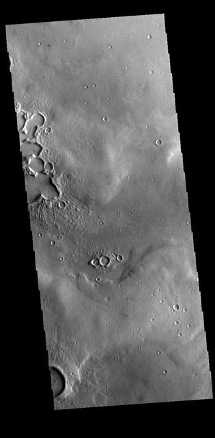 This VIS image is located on plains between Terra Sabaea and Utopia Planitia. In this region craters and other depressions have sharp, narrow margins and rims. Orbit Number: 77214 Latitude: 36.3388 Longitude: 78.7687 Instrument: VIS Captured: 2019-05-12 02:43 https://photojournal.jpl.nasa.gov/catalog/PIA23298